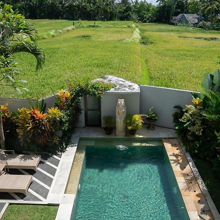 Ananditha Villa Ubud Ricefield Views Екстериор снимка