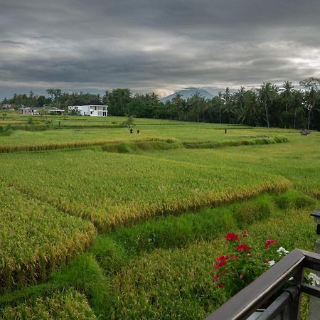 Ananditha Villa Ubud Ricefield Views Екстериор снимка