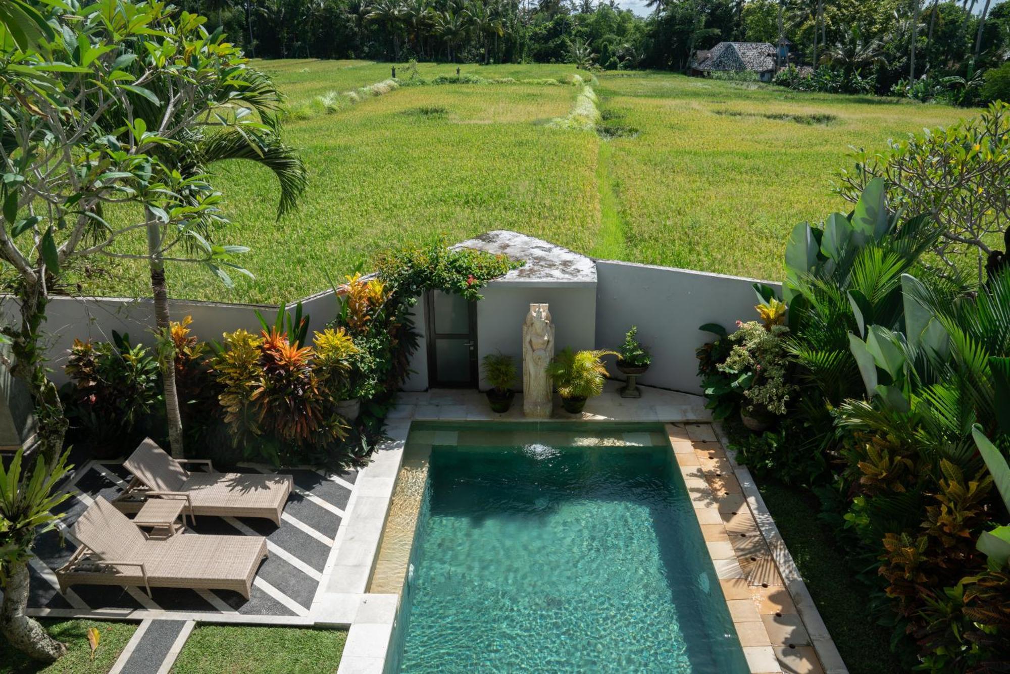 Ananditha Villa Ubud Ricefield Views Екстериор снимка