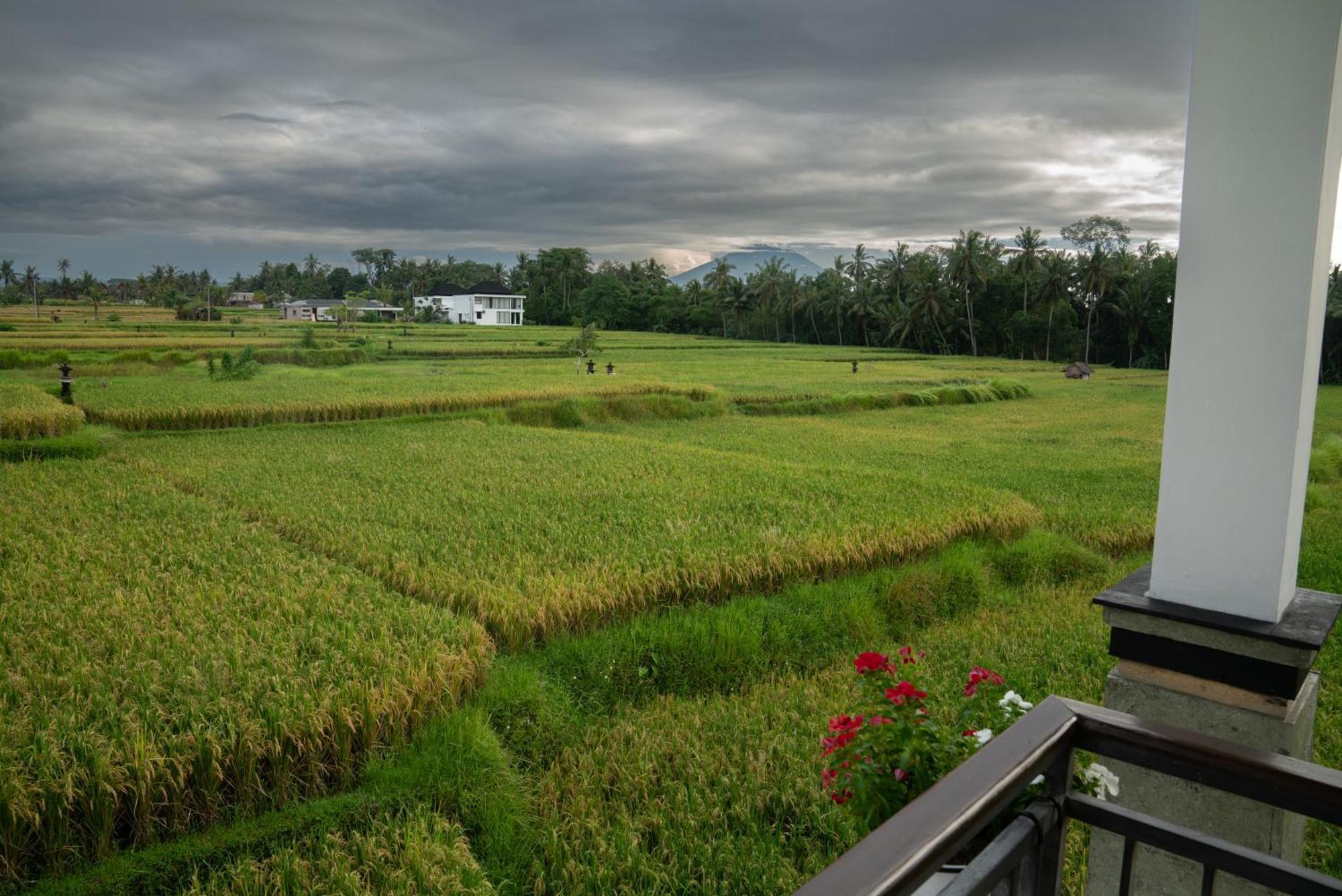 Ananditha Villa Ubud Ricefield Views Екстериор снимка